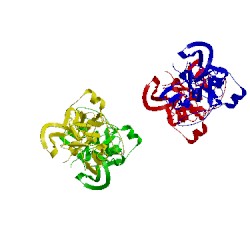 Image of CATH 2pzx