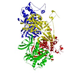 Image of CATH 2pzy