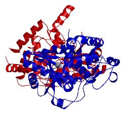 Image of CATH 2q0c