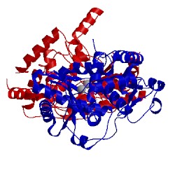 Image of CATH 2q0e