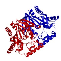 Image of CATH 2q0x