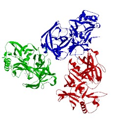 Image of CATH 2q11