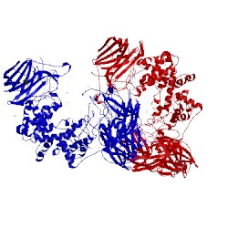 Image of CATH 2q1f