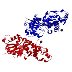 Image of CATH 2q1n