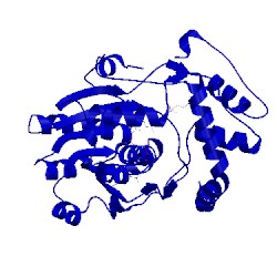 Image of CATH 2q1t