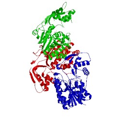 Image of CATH 2q1w