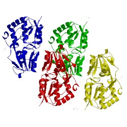 Image of CATH 2q2c