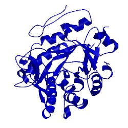 Image of CATH 2q3r