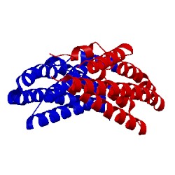 Image of CATH 2q4f