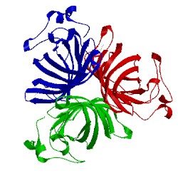 Image of CATH 2q4i