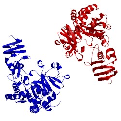 Image of CATH 2q4j
