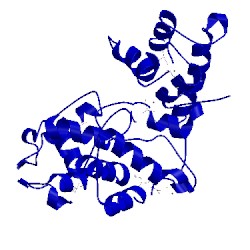 Image of CATH 2q4u