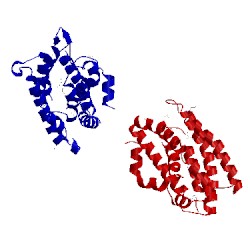 Image of CATH 2q4x