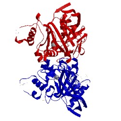 Image of CATH 2q4z