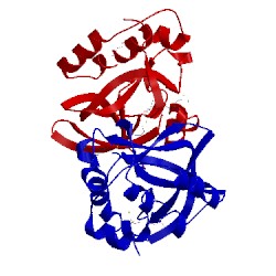 Image of CATH 2q53