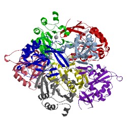 Image of CATH 2q5e