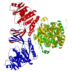 Image of CATH 2q5r
