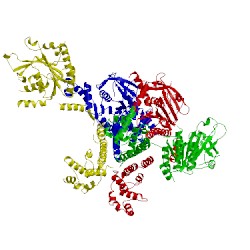 Image of CATH 2q6t