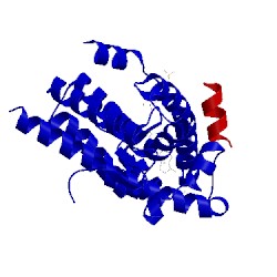 Image of CATH 2q7i