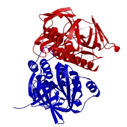 Image of CATH 2q7v