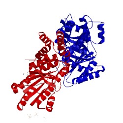 Image of CATH 2q9a