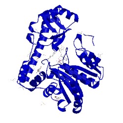 Image of CATH 2qb2