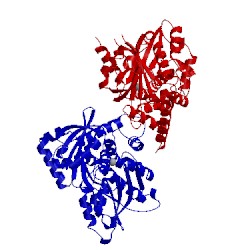 Image of CATH 2qb8