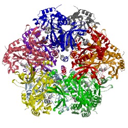 Image of CATH 2qc8