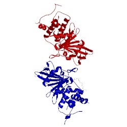 Image of CATH 2qct
