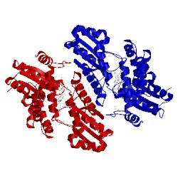 Image of CATH 2qd2