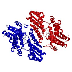 Image of CATH 2qd5