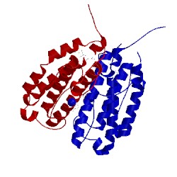 Image of CATH 2qe9