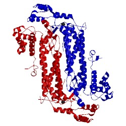 Image of CATH 2qga