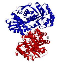 Image of CATH 2qgy