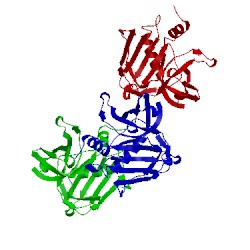 Image of CATH 2qil