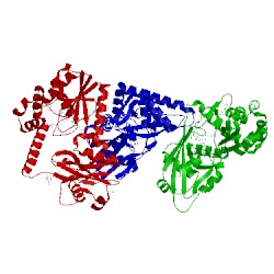 Image of CATH 2qjo