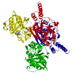 Image of CATH 2qjs