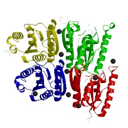 Image of CATH 2qjw
