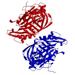Image of CATH 2qk5