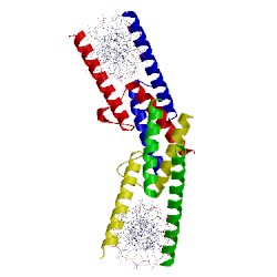 Image of CATH 2ql2