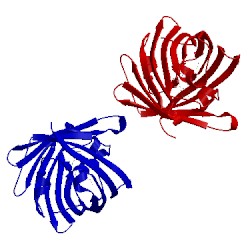 Image of CATH 2qlg