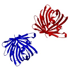 Image of CATH 2qli
