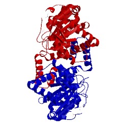 Image of CATH 2qm8