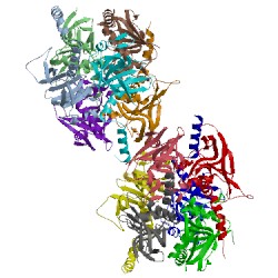 Image of CATH 2qmh