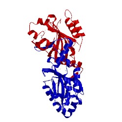 Image of CATH 2qnu