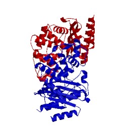 Image of CATH 2qpn