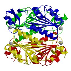Image of CATH 2qpo
