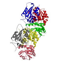 Image of CATH 2qq1