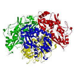 Image of CATH 2qry