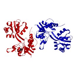 Image of CATH 2qs2
